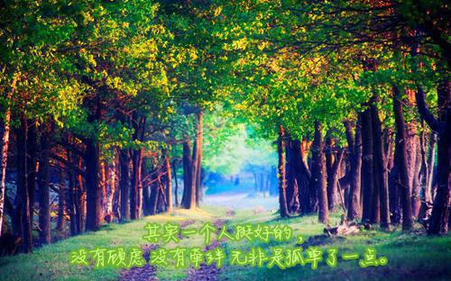 读《第七条猎狗》有感精选10篇