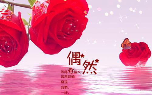 关于哥哥的经典语录精选
