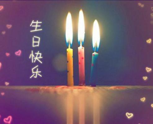 最新有关学习的谚语