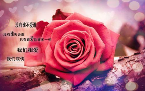 表达早安正能量的句子图片