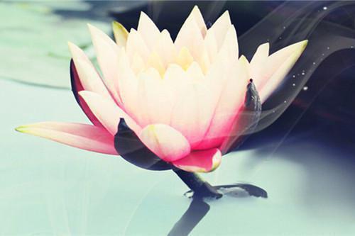 睡前童话故事精选：背麦子的鼹鼠