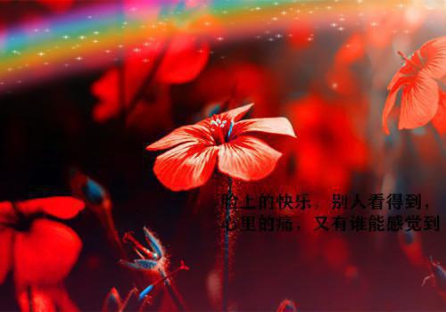 怎样写好情书