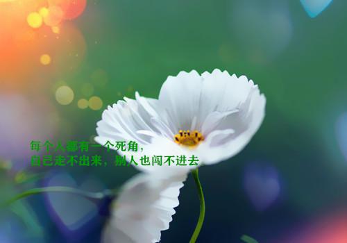 2021年经典抖音伤感的签名93句