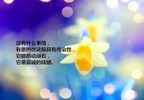 美好幸福爱情经典励志句子