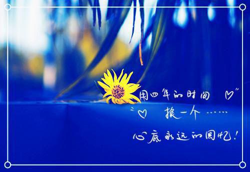 绿豆的观察日记15篇
