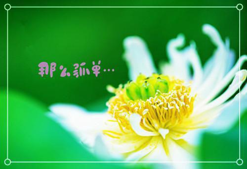 知识的谚语