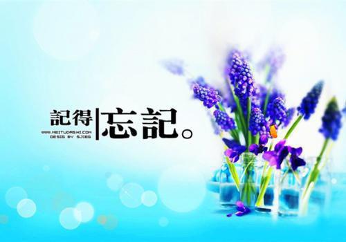 你的孤独虽败犹荣经典语录
