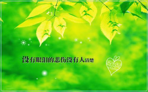 2021年经典爱情句子集锦78句
