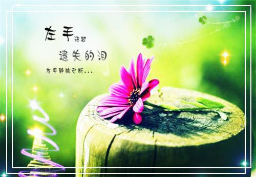 编童话故事小学语文作文3个