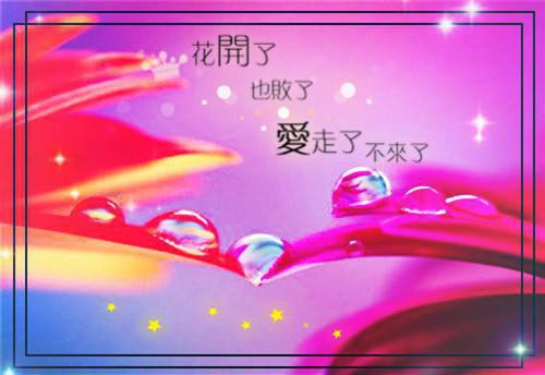 电视剧如懿传经典台词