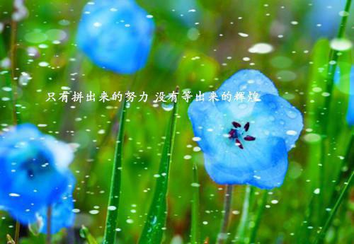 唯美意境的古典句子