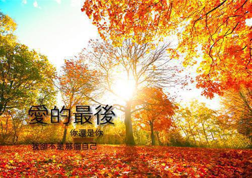 不舍得你独自悲伤