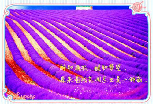 表白情书300字写给男生（精选8篇）
