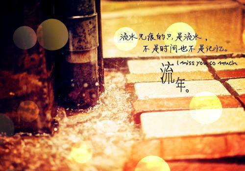 考拉熊