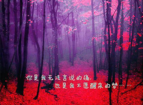 描写中国传统艺术的作文范文