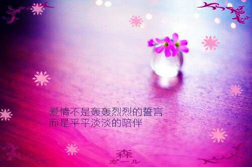 【热门】唯美情感语录集合30句