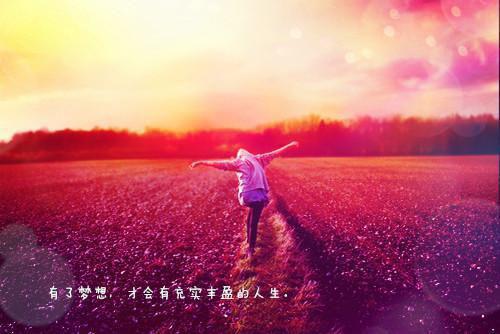 有关芭比童话故事