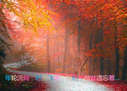 教育名言名句