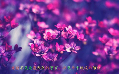 莎士比亚爱情名言