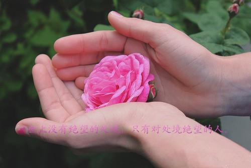 (番外)+(全文)重生后天尊为我红了眼：+后续+结局（白昭月宋长书云墨）完整全文在线阅读_重生后天尊为我红了眼：+后续+结局免费阅读最新章节列表（白昭月宋长书云墨）