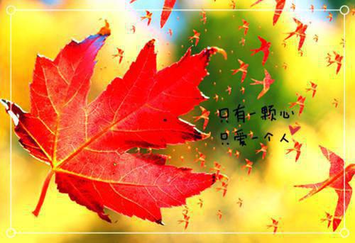 关于孝敬父母励志诗句
