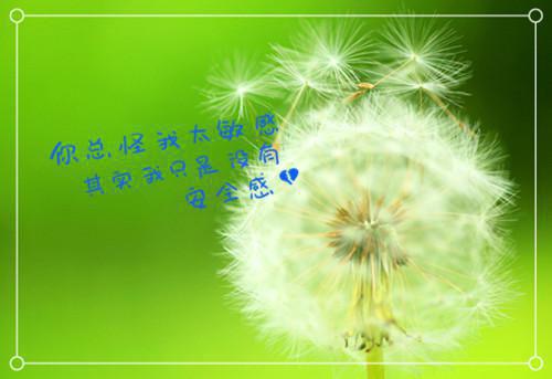 老公,我一直都爱着你