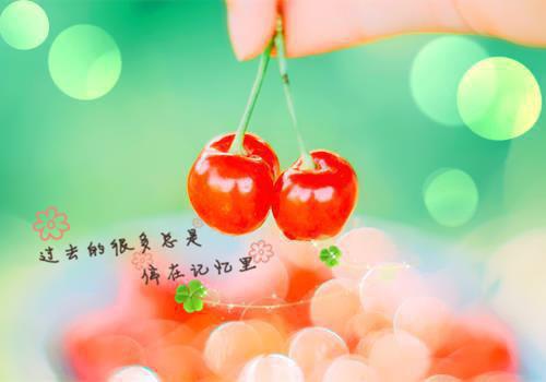 【推荐】小学的日记