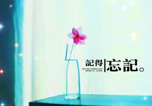 关于小狗的故事音乐家的小狗