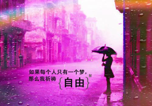 写给女神的情书