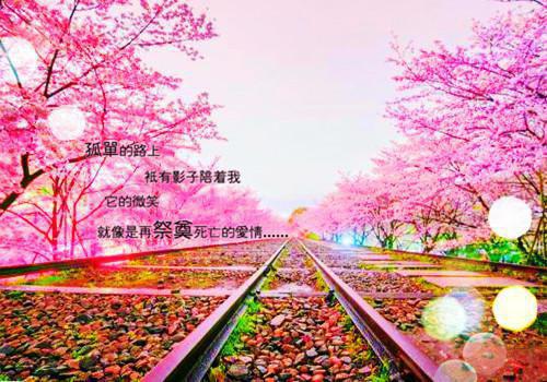 名人名言班级座右铭