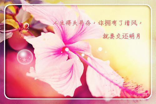 学生凄惨爱情故事合集