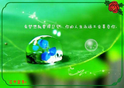 幼儿教师教育格言30句