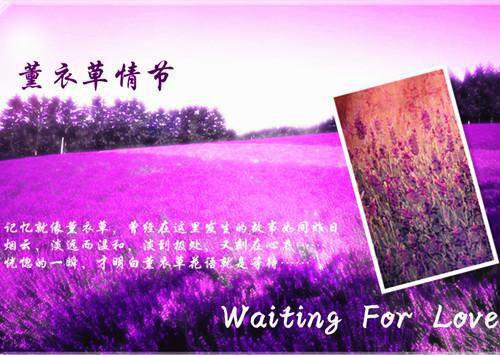 教师格言精选40条