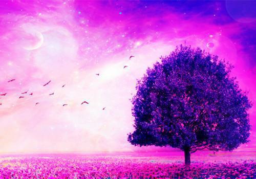 岁岁年年无钟情（许晚乔林峻南）最新章节_岁岁年年无钟情全文阅读