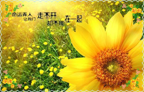 【必备】2022年人生哲理句子集合75条