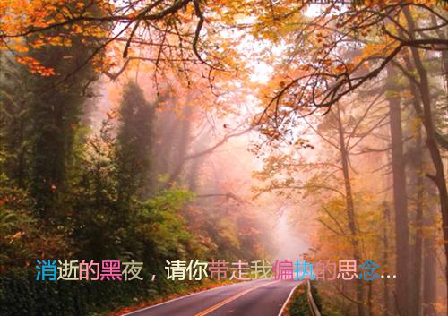 做个容易被取悦的人