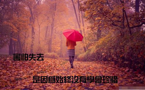 生气猪上天