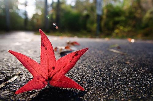 搞笑生日祝福语：最新创意搞笑祝福