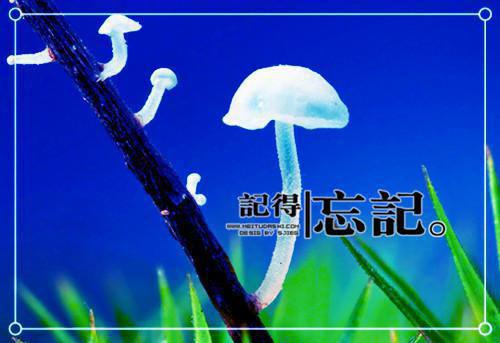 上下五千年汉代故事精选