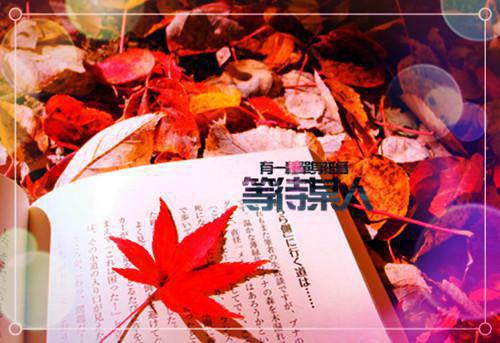 名人正能量的句子大全集