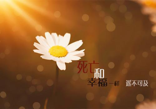 美国骗局经典台词