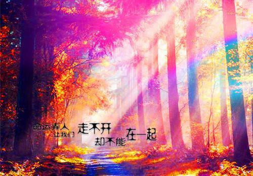 关于爸爸的爱作文300字合集九篇