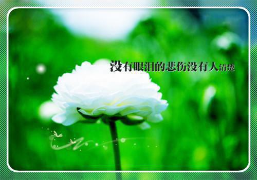 人生哲理格言
