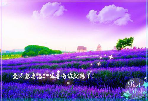 2021关于个人奋斗的格言