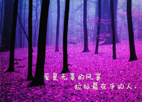 安徒生童话 风车
