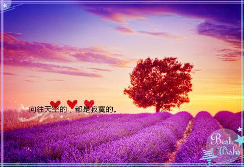 关于奋斗的励志名言有哪些呢