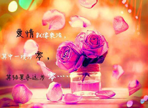 成功管理的基本原则