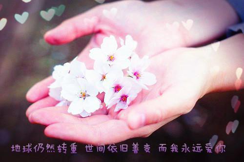 最拽的经典语句很拽的经典霸气句子