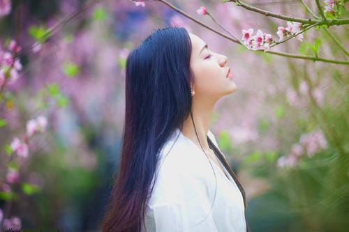有关灰猫追花鸟的绕口令