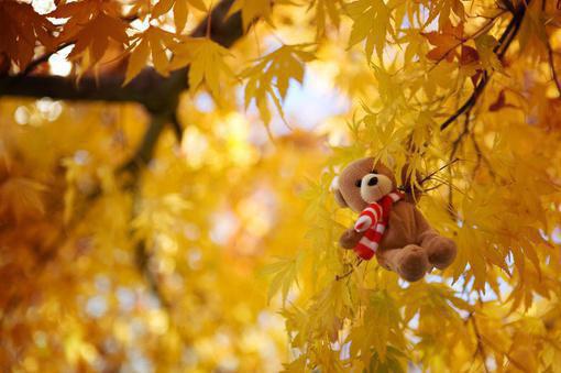 [散文]On the Feeling of Immortality in Youth